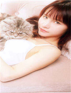 奇逢敌手2003国语