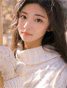 鬣狗式生存