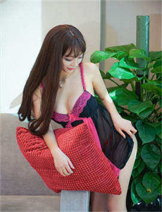 庇护所 2014