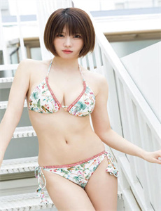 黑狐2019